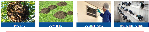 Pest control in Mansfield